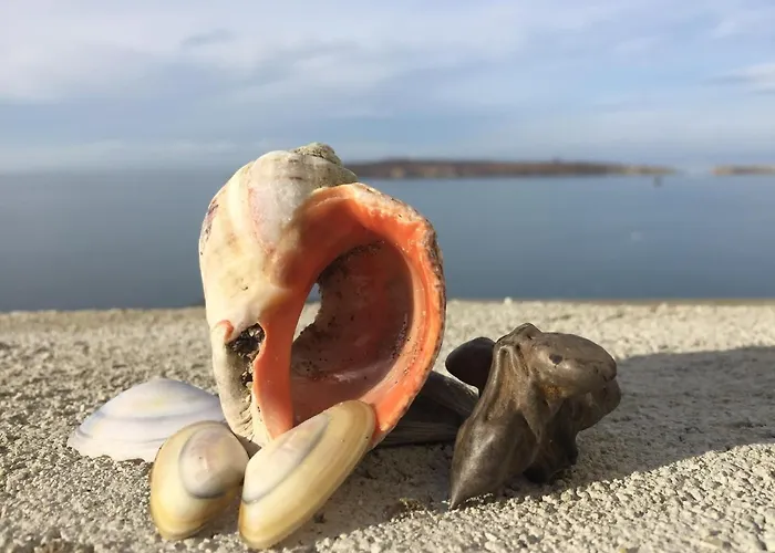 Diamond Sarafovo 부르가스